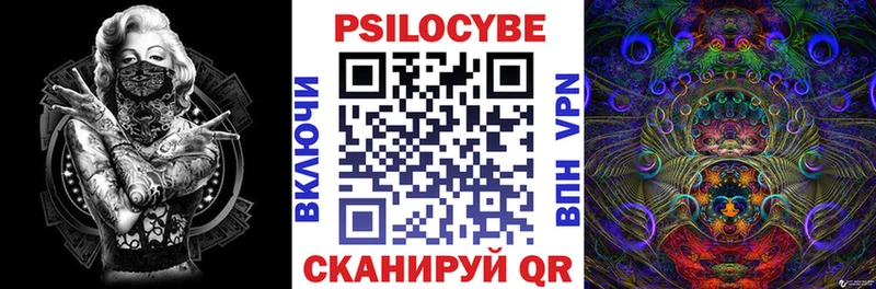 купить   OMG зеркало  Галлюциногенные грибы Magic Shrooms  Александровское 